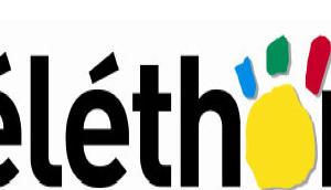  alt="Le Téléthon online à la pointe de l’innovation et du Web 2.0"