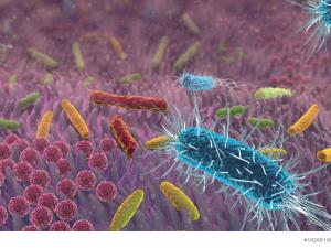  alt="Savez vous que vous pouvez réaliser un test-diagnostic de votre microbiote ?"