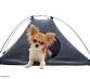 Kit vacances: Comment faire pour partir avec son chien au camping cet été ?