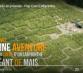Pop Corn Labyrinthe recrute 600 saisonniers pour l'été 2025