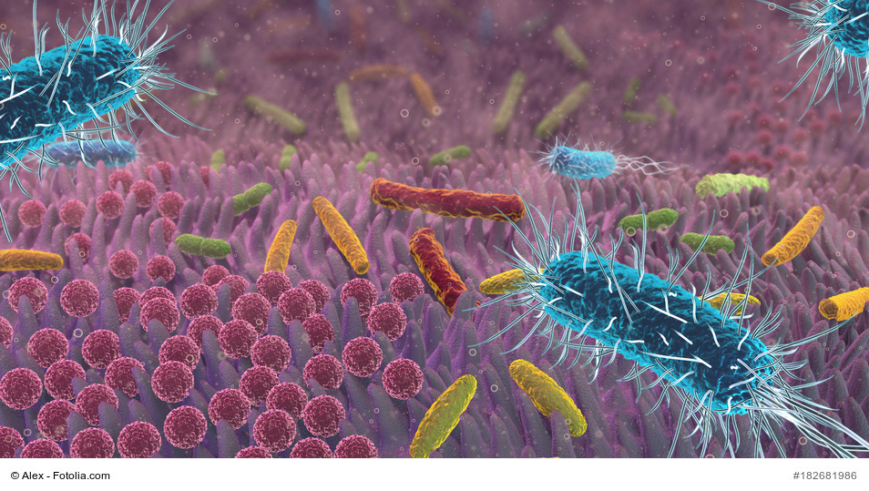 Resultado de imagen de les tests sur la microbiote sont fiables aujourd'hui