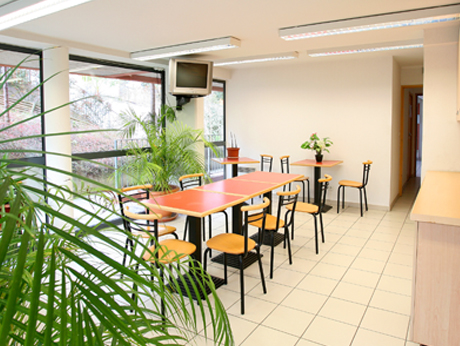 Tropicampus